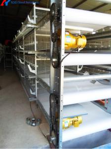 Quality Chicken Automatic Manure Cleaning System Of Poultry House Cage Feeding wholesale