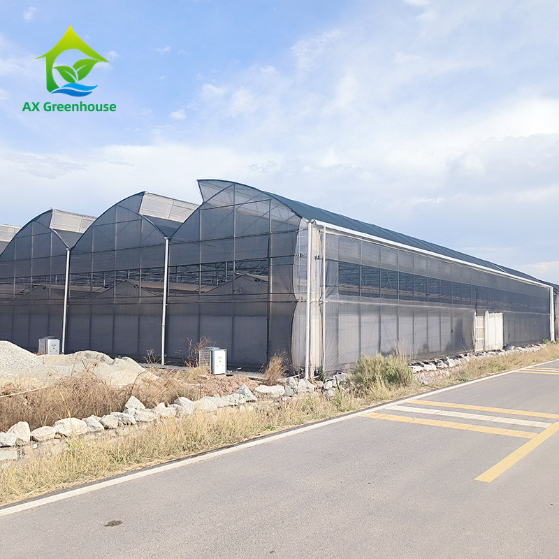 Steel Tructure Agriculture Large Tunnel Black White Film Light Deprivation Blackout Greenhouse