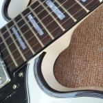 High quality hollow body jazz electric guitar, rosewood fingerboard black