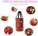 Strawberry Grow Bags, No Gauze Growing Bag, Hole Upside Down Planter Handling