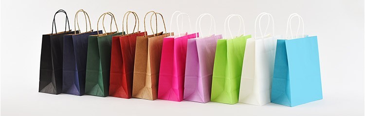 Blue Color Printed Kraft Paper Bags Customzied Logo With Twisted Paper Handle