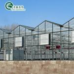 Galvanized Steel Structure Venlo Glass Greenhouse for Growing Vegetable Fruits