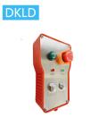 Two-way single speed switch industrial remote control