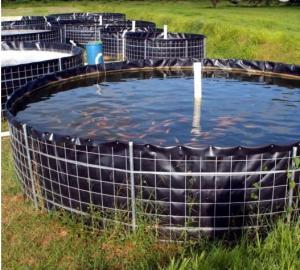 Quality Smooth Surface PVC Geomembrane Liner Thickness 0.2~3mm For Shrimp Fish Feeding wholesale