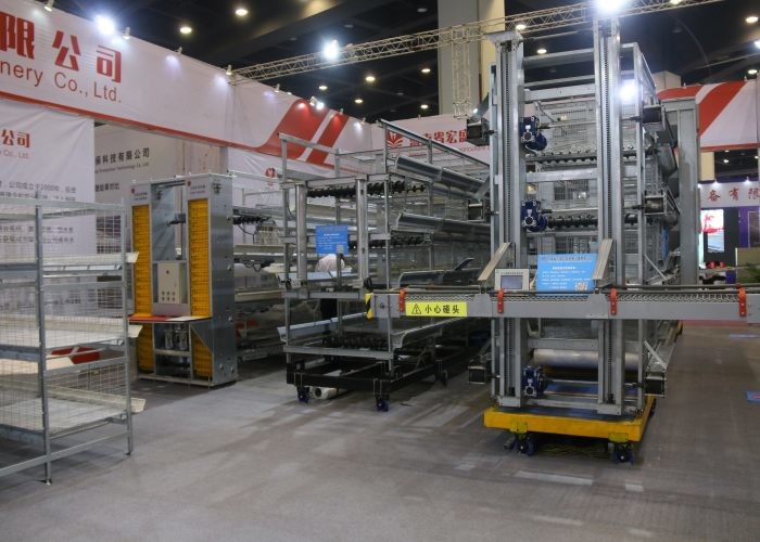 Automatic Layer Poultry Farming Equipment System Easy Operation 1950×460×420 Mm