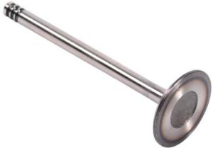 Quality 1110530101 Engine Parts Engine Valve wholesale