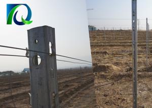 Quality Agricultural Galvanised Steel Vineyard Posts 2500x1.5MM High Wind Resistance wholesale