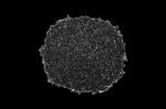 1000mg/G Iodine Granular Coconut Shell Activated Carbon