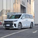 High Speed 2024 Voyah Dream Hybrid White Electric Auto Car MPV Vehicle for Needs