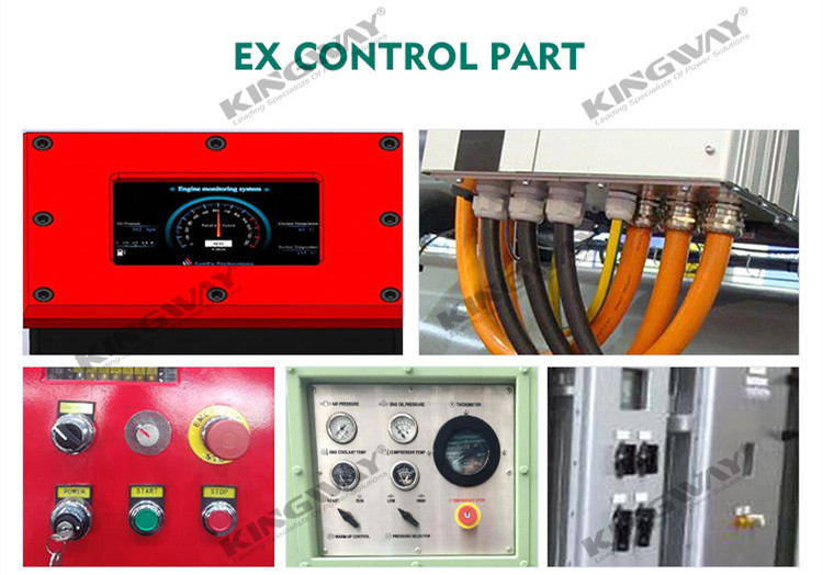 300KVA ATEX Zone 2 Equipment ATEX Generator Silent Type