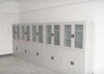 Acid And Alkali Resistance Biology Lab Furniture , Steel Medicine Cabinet