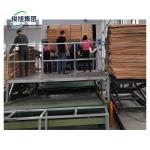 8000 KG Capacity Wood Drying Machine Industrial Veneer Dryer with Hydraulic Hot