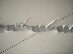 Quality 68mm Barb High Anti Split Plates , Wall Razor Anti Climb Fence Spikes wholesale
