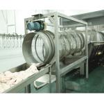 Poultry Slaughterhouse Semi Industrial Abbatoir For Chickens Sale