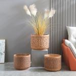 Stunning Plant Display With Fiber Clay Planters Durable And Stylish