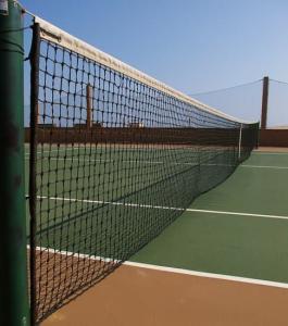 Quality Thickness 2.5mm Tennis Practice Net PE Knotted Tennis Hitting Net wholesale