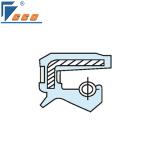 Double Lip Rotary Shaft Fluorine Rubber Oil Seal With Different Types