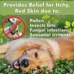 Natural Medicated Dog Shampoo Antibacterial Anti Itch Dog Shampoo