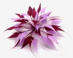 Party Decoration Stripped Goose Feather Flower Mount for Shipping DHL UPS FEDEX