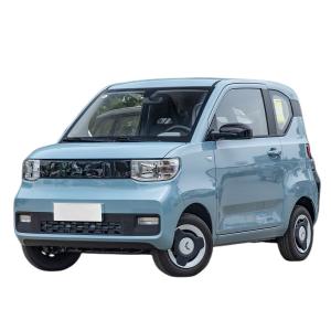 Quality E100 E300 Ev Electric Car wholesale