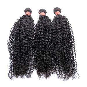 Quality Full Cuticle 100%Virgin Human Hair Weave Kinky Curly Hair Bundle No Tangle wholesale