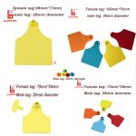 ID Printed 100mm X75mm Bovine Livestock Ear Tags