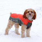 Waterproof Pet Clothes Dog Winter Coat Warm Puppy Jacket Vest