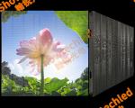 IP65 Transparent LED Video Board 1000mm X 1000×85mm for Outdoor Advertising