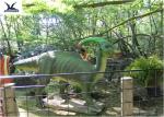 Handmade Simulation Life Size Dinosaur Models , Realistic Raptor Dinosaur