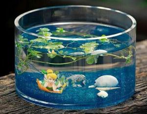 Quality hand blow glass terrarium glass fish tank Hydroponics container wholesale