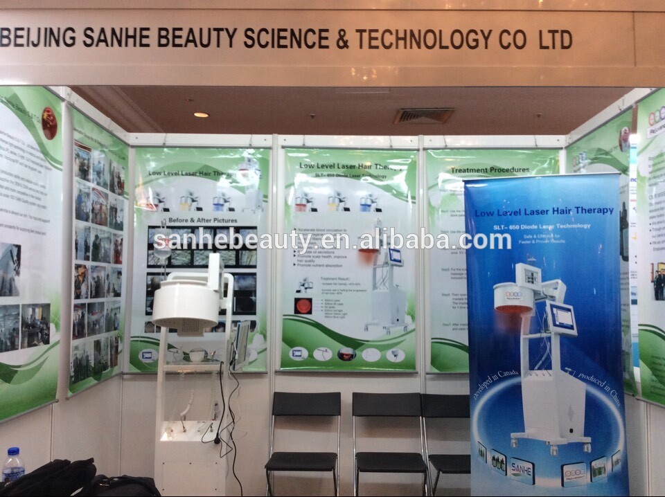 +Sanhe beauty - Professional q switched nd yag laser/laser tattoo removal