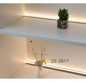 Quality 3500K Warm White Aluminum Recessed LED Cabinet Light For Showcase wholesale