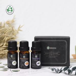 Quality Characteristic Scent OEM Essential Oil Kit Aromatherapy Essential Oil Set wholesale