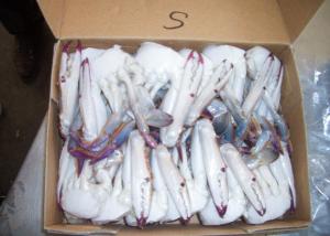 Quality Portunus Crab Blue Swimming Crab , Half Cutted Sea Crab Iso Brc Certification wholesale