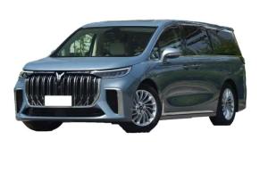 Quality High Stability Voyah EV 500W Electric Vehicle With 25km/H Max Speed wholesale