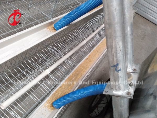 Automatic Chicken Feeding Cart For Cage Chicken Farm Iris