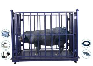 Quality Digital Zemic LCD Cattle Weighing Scales Stainless Steel wholesale