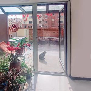 Quality Smart Home Black Retractable Screen Door Systems Insect Screens wholesale