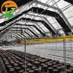 Mushroom Farm Greenhouse with Galvanized Material Frame and Film Cover