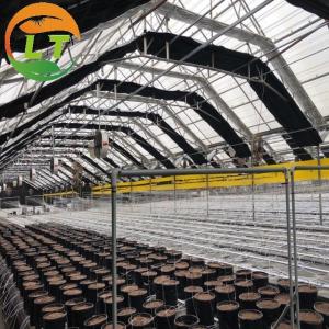 Quality Customizable Sides Ventilation Mushroom Greenhouse for Year-Round Production wholesale