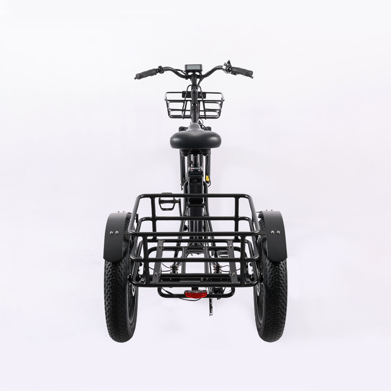 High Capacity Family Cargo Bike with Torque 80-90 Nm and Rear Carrier Battery Position