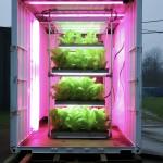 Commercial Greenhouse Container Greenhouse The Revolutionary Way to Grow Leafy