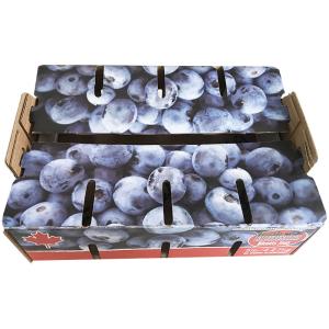 Quality Single Wall Recycled Materials Cardboard Fruit Boxes , Apple Carton Box wholesale