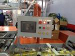 Automatic Plastic Sealing Machine