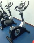 commercial upright bike
