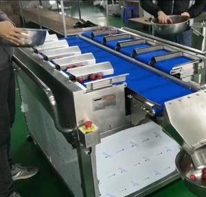 Quality Semi Combination Weigher SUS 304 30 BPM For Food Fruit wholesale