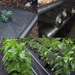 Agriculture Mulch 3.2m Landscape Weed Barrier Fabric 100GSM