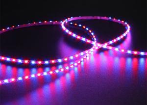 Quality SMD3210 RGB 3mm Wide Addressable LED Strip 150LEDs/M 5VDC wholesale