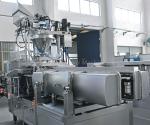 Stainless Steel Full Automatic Vacuum Packaging Machine With Touch Screen