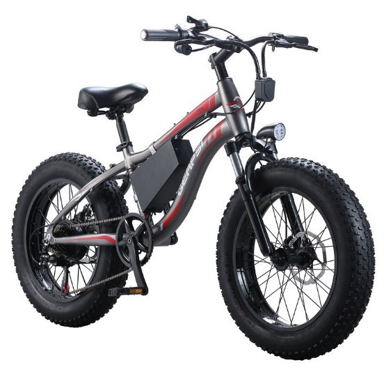 Aluminum 20 Inch Fat Tire Electric Bike 750 Watt